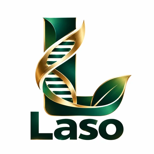 Laso